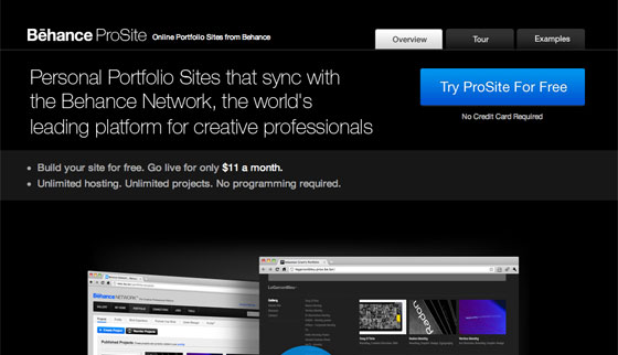 Screenshot of prosite.com