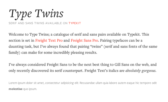 Type Twins screenshot