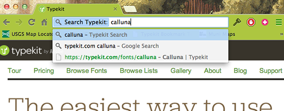 OpenSearch functionality in Chrome, showing converted address bar.
