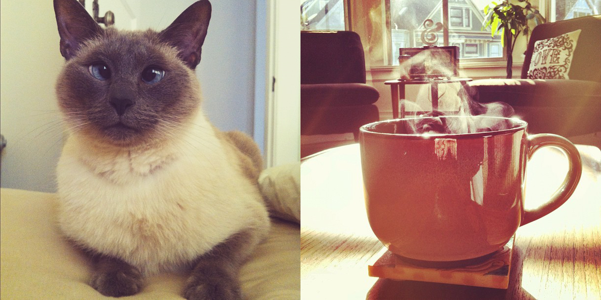 Cat and coffee routine
