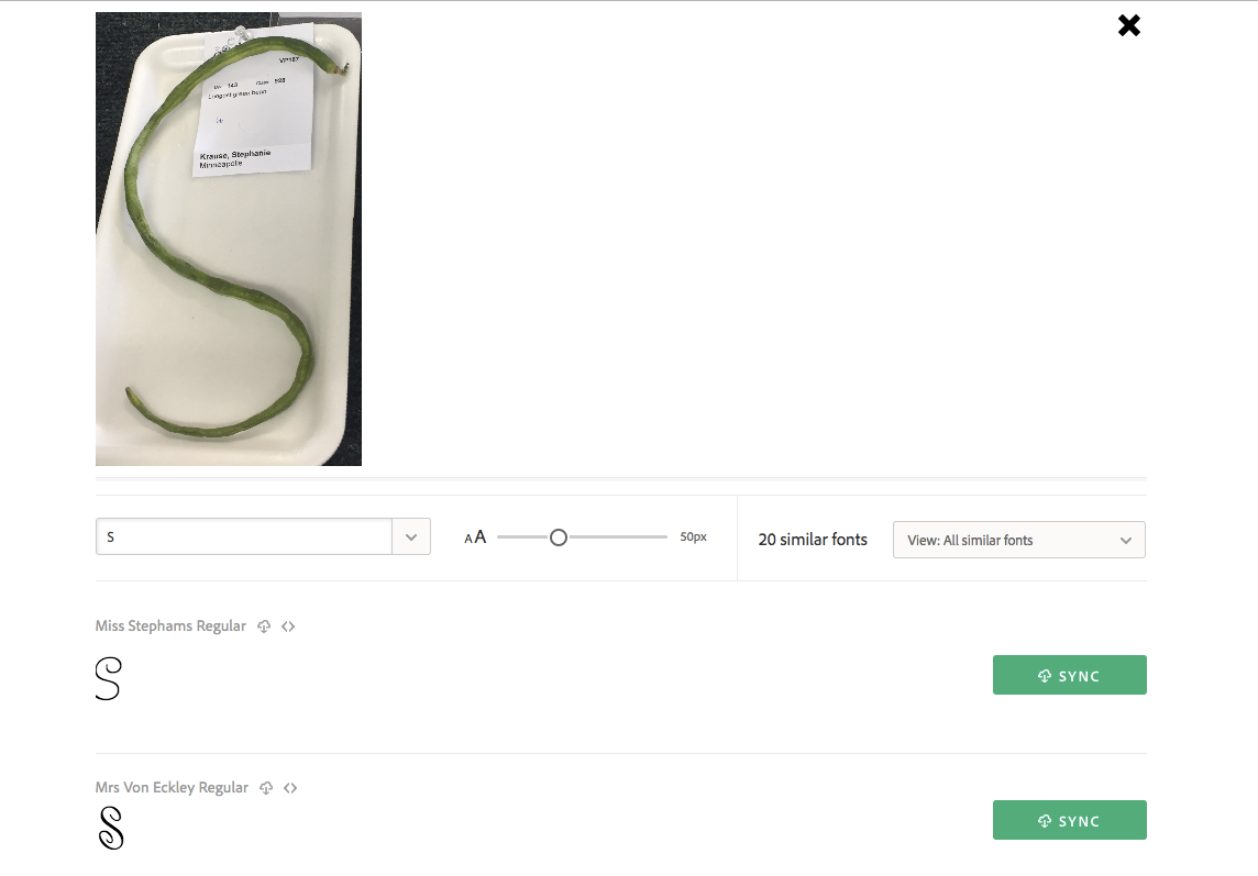 Visual search on a string bean