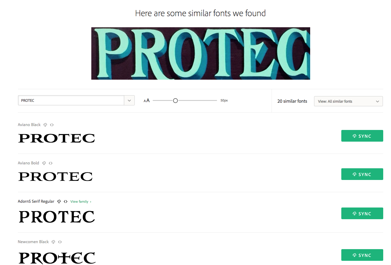 The visual search results for Protect suggest Aviano Black, Aviano Bold, AdornS Serif Regular, and Newcomen Black